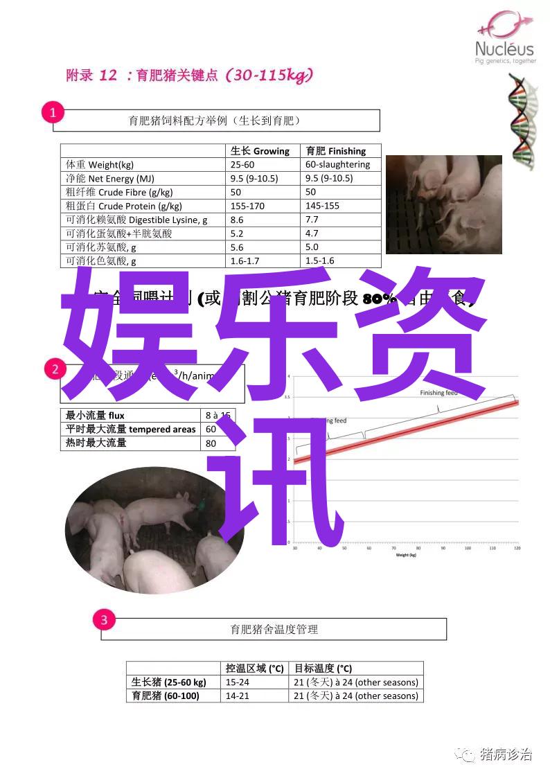 虚拟现实探索欧美VR专区的奇幻世界