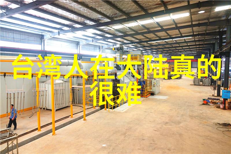 飞跃时空的爱恋追寻心灵的那一刻
