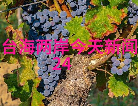 台湾最新24小时消息高雄爆炸事故救援进展台北世大赛开幕仪式完美举行