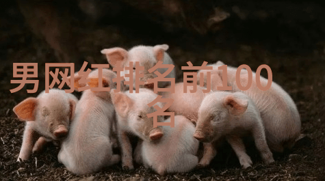 无损mp3歌曲免费下载库我是音乐爱好者你的超级资源大本营