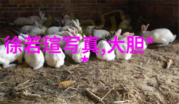 日式摄影之美解读日本写真集的魅力