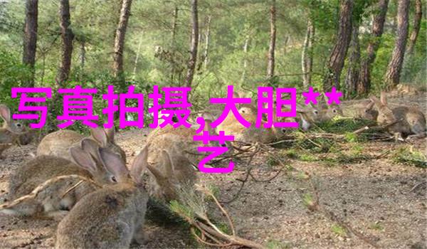 外公与辣妈的秘密写真41岁吴玟萱少女般的美貌引发老少妻谣言风波