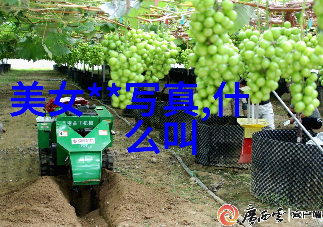 东方头条华夏明星闪耀中国娱乐新闻
