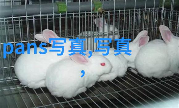 演出娱乐八卦解读当代流行文化中的信息符号与社会影响