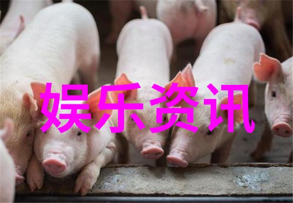 逆袭旋律抖音上最火的十首跨文化英语歌曲