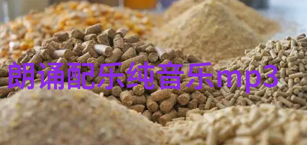 破碎的心灵凝固在照片里理解失望与暖意的对比