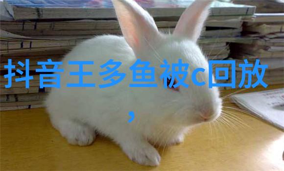 时尚界绽放 - 舒淇一组黑白写真曝光静态瞬间的艺术语言