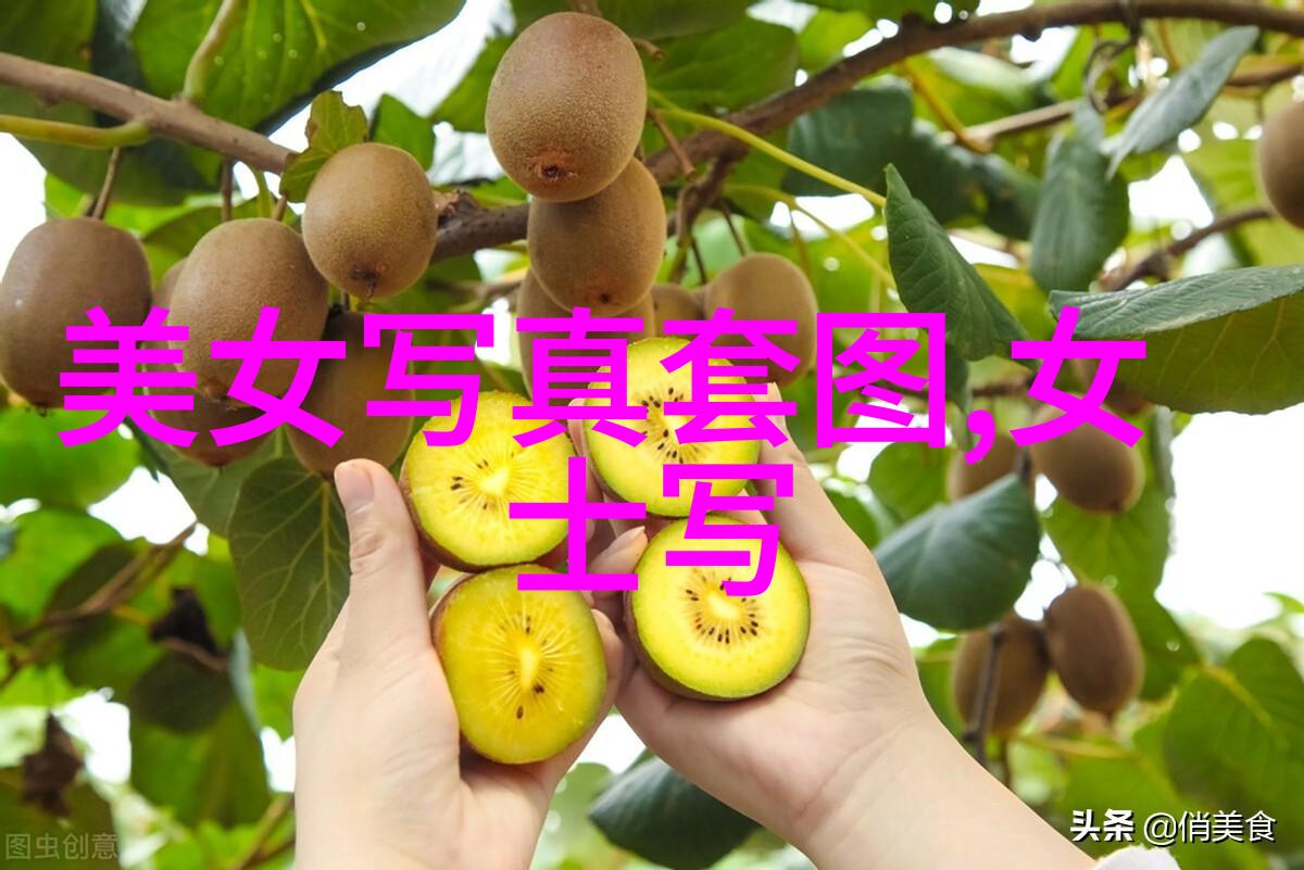 后天八卦的应用方法-运用后天八卦法则揭秘古代占星术的实用技巧