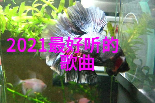 纵身欲飞透露无穷魅力的汤加莉经典写真
