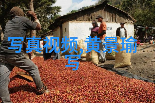 娱乐头条咱们来看看昨晚热播的那部新剧是怎么回事