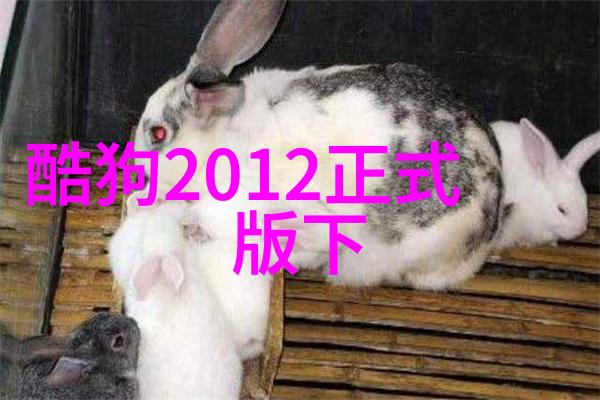 失忆重生我如何成为大佬的心头爱
