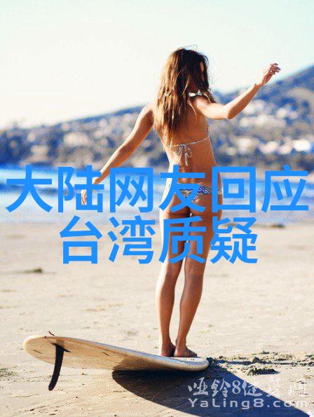 影视森林幕后故事与前行者的征途