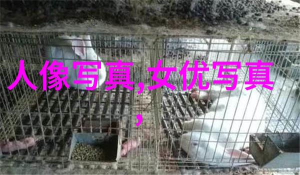 岳丽娜搜狐25周年庆典亮相陈思诚暗示王宝强数据分析