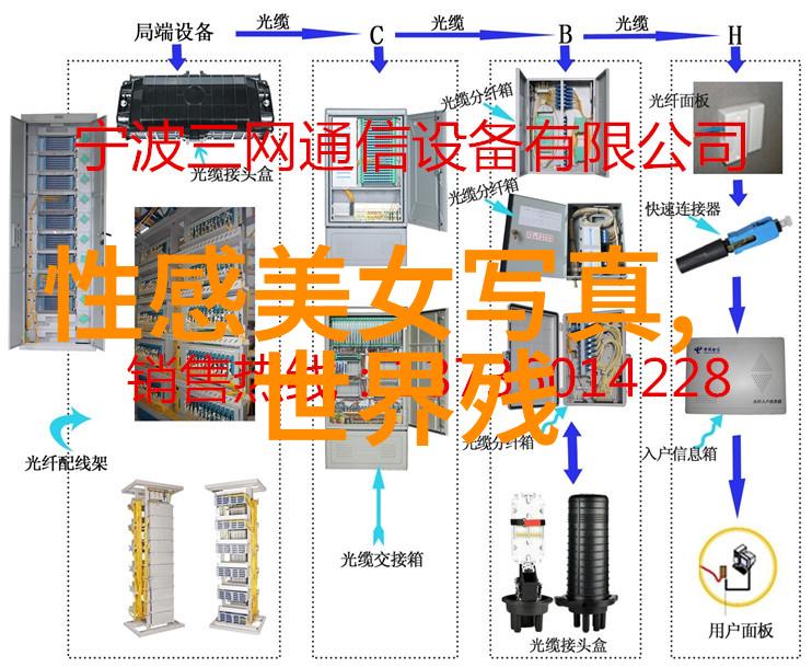 今日头条极速版下载免费快速获取最新资讯的秘诀