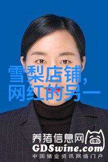 时尚中黑简体实至名归陶思航脱颖而出世界亚裔小姐第33界选美大赛冠军