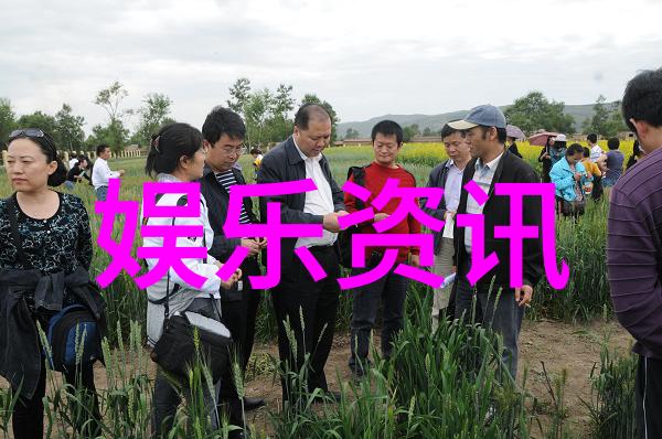 在最美的时光综艺中舞蹈还原唐代仕女捣练场景问世间是否还有比这更能让唐代古画活起来的奇迹