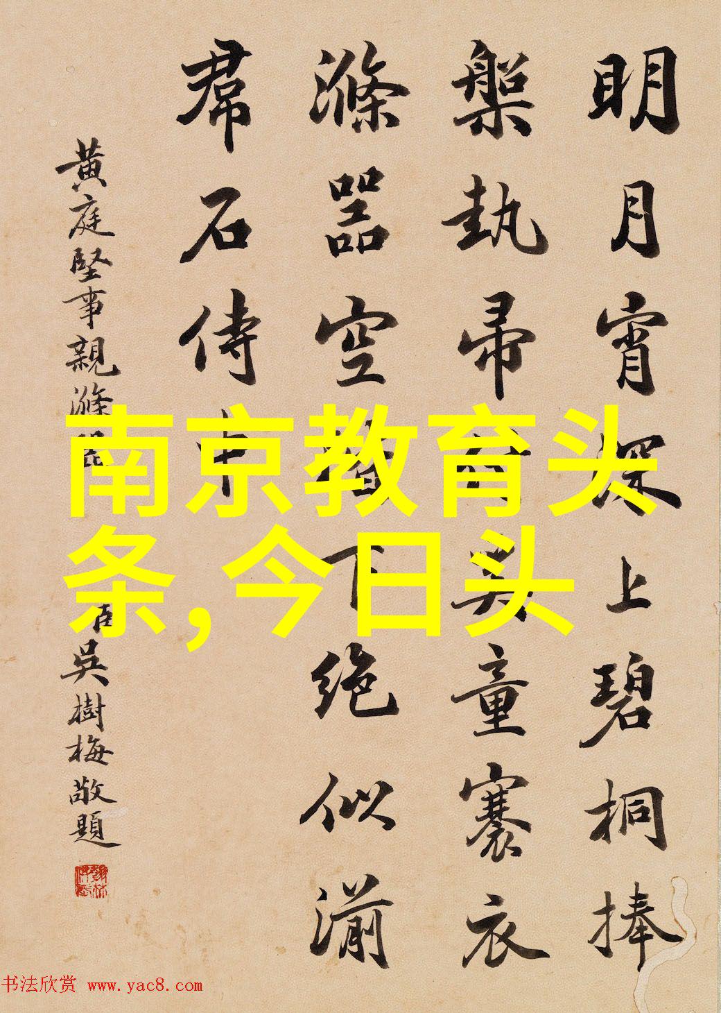 色彩对比黑白female photography艺术探讨