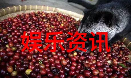421明星爆料文件解读红 carpets背后的光与影