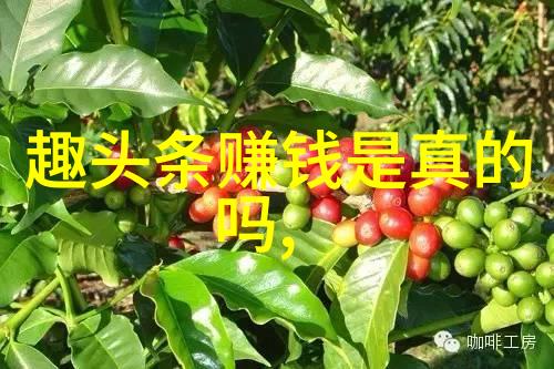 三对三探索平衡与协作的哲学