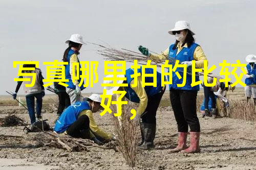 纯音乐大全100首经典旋律的时尚之选