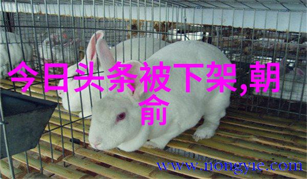 除了七大洲之外还存在其他被认为是独立的大陆吗