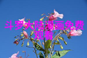探索八卦图罗盘全图背后的文化符号
