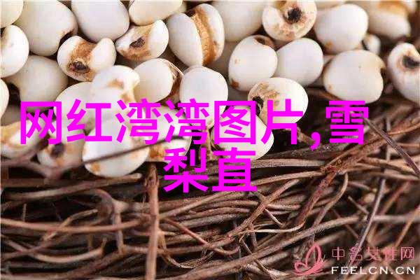 时尚宾馆装修效果图我眼中的时尚宾馆装修新趋势