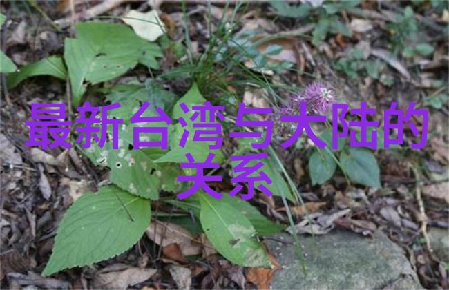 经历风雨见人心分手吧或许是我累了你