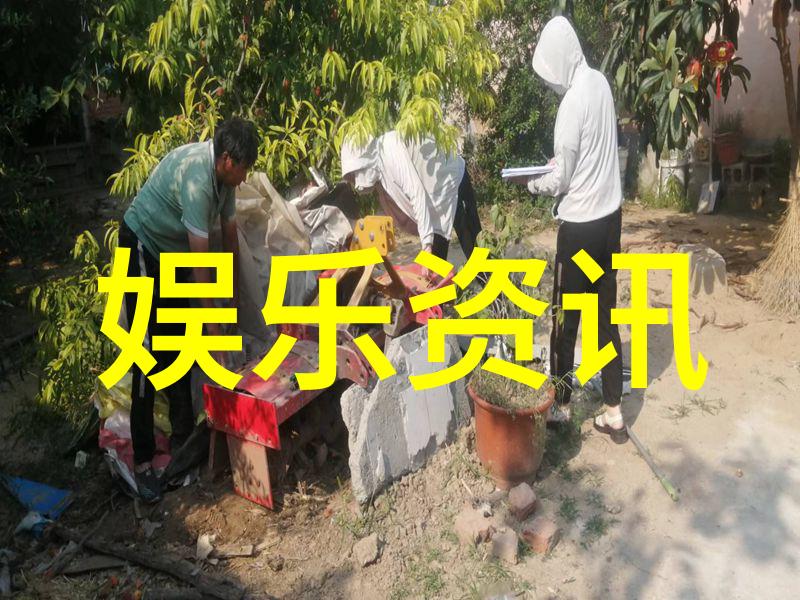 冷君夜妾我家小姐的秘密之恋