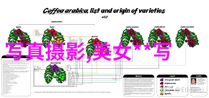 如梦之梦深圳站演出延期50部经典电视剧等你来挑战具体事宜将在8月31日前反复公布