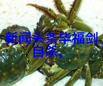 嫁祸于人揭开家族秘密的沉重誓言