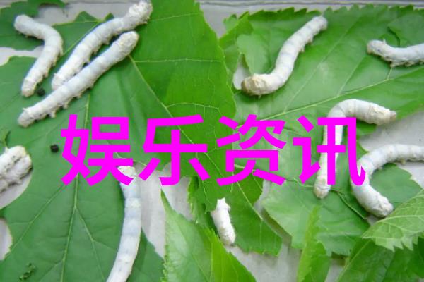 画面之美镜头下的魅力展现