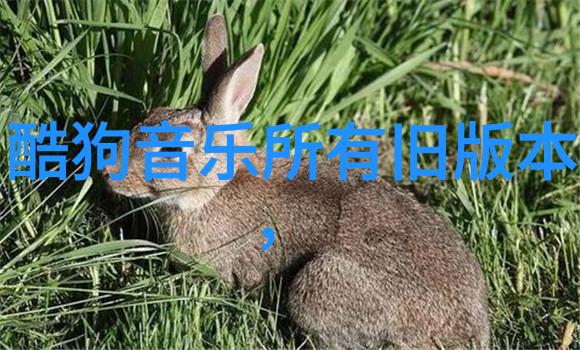 音乐下载免费版安装-轻松享受音乐如何安全高效地安装音乐下载免费版