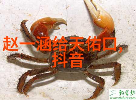 台风来袭台湾地区遭受严重影响多地停电断水