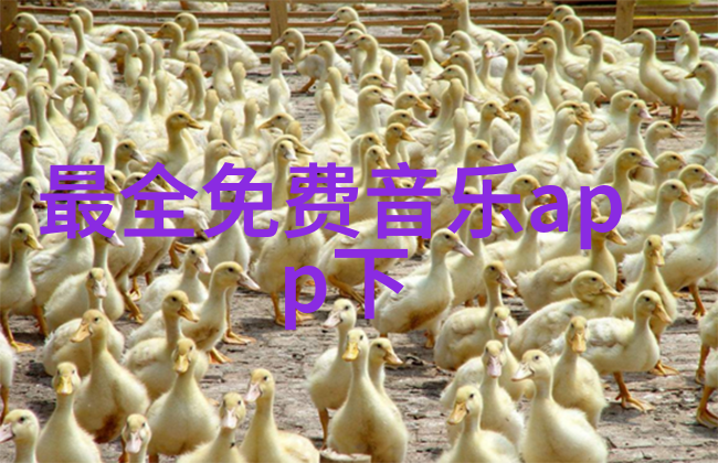 娇妻十七岁青春的秘密与爱情的起点