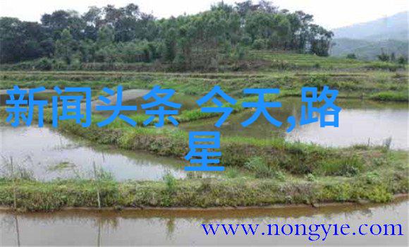 图腾与符号理解历史上的各个朝代对八卦图的尊崇和利用方式