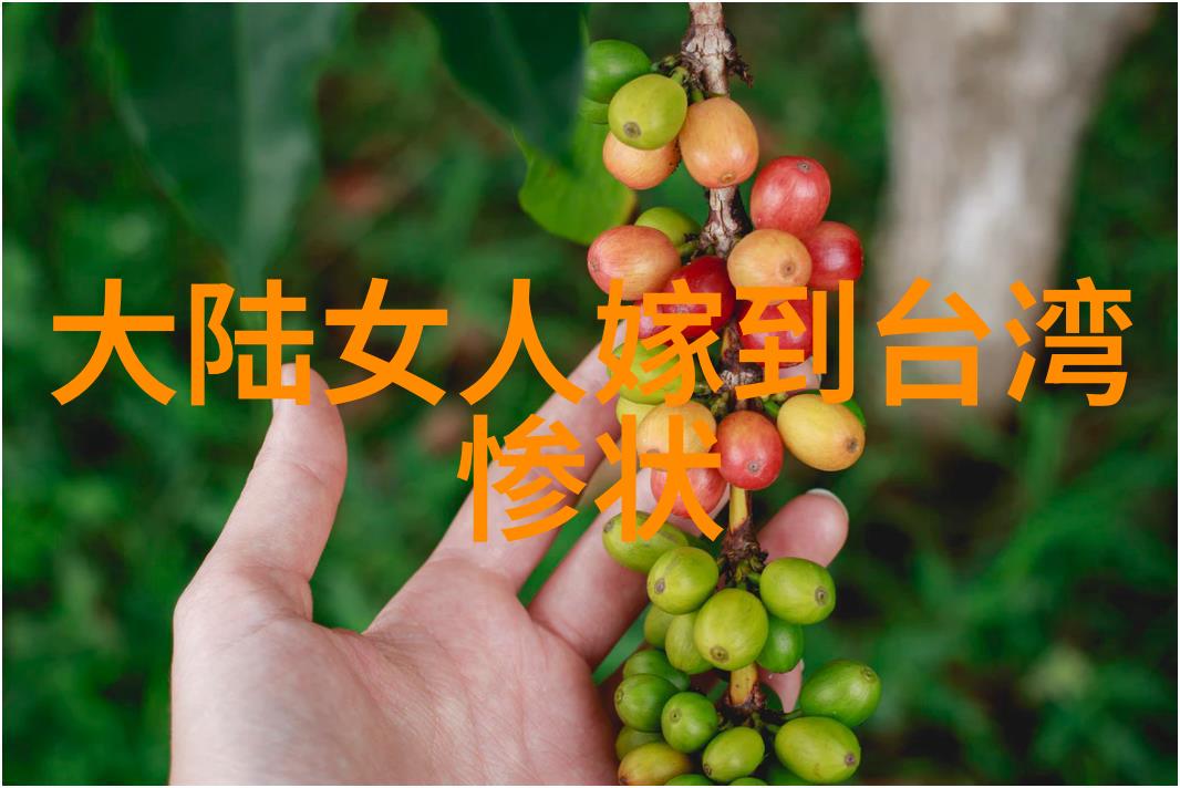 十年一品温如言影视中的诗篇美得如同天籁之音打动人心的不仅是情感更是画面与演技的完美融合
