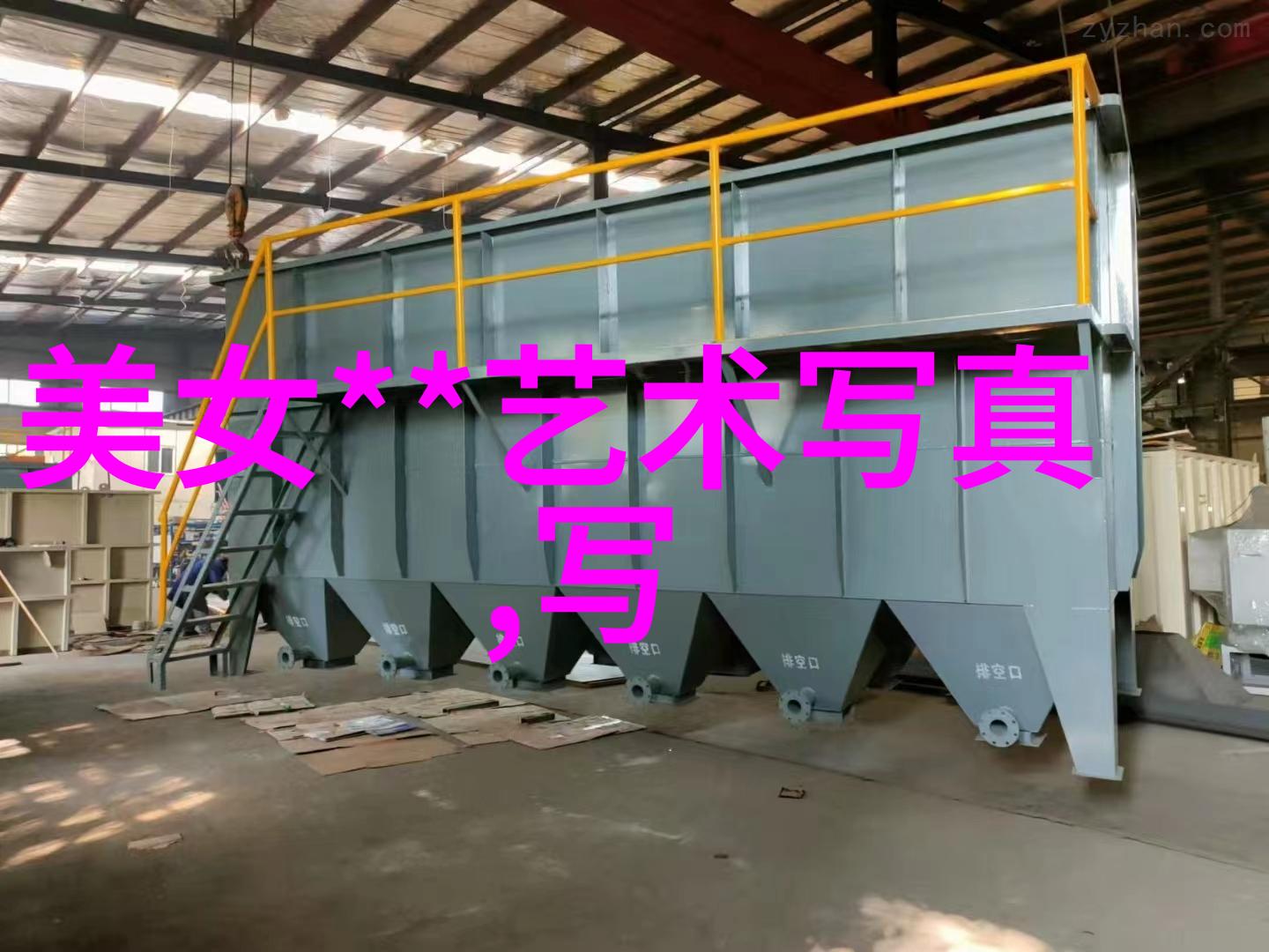 音乐欣赏-好听的歌曲500首探索音浪中的美妙篇章