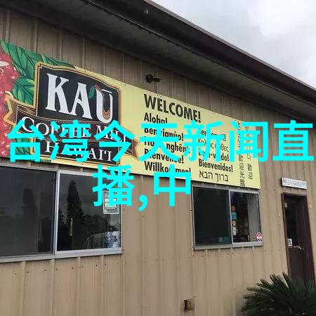 阿娇研究探索其在当代文化中的象征意义与社会影响