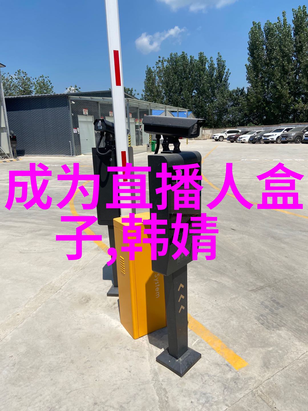 从象到意探索八卦图如何影响我们的生活方式