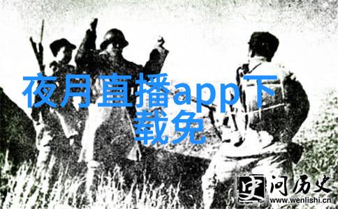 用一张照片描绘一个瞬间如何捕捉到完美的心灵照相于新时代