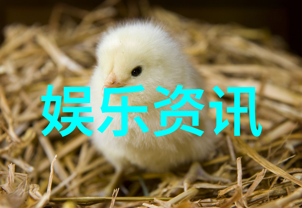 3比3棋盘上的奇妙对决谁能首先占据优势