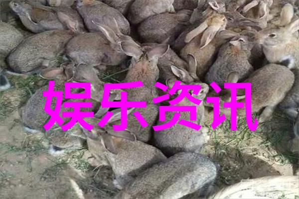 大师兄影视大全免费观看电视剧-追剧不花钱大师兄影视大全的无限魅力