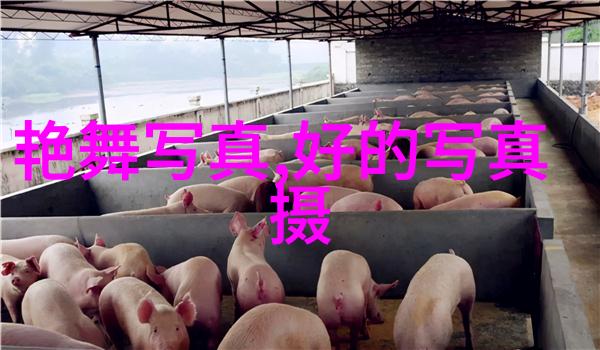 江苏综艺频道来看看我是如何在家就能看遍江苏的所有好综艺的