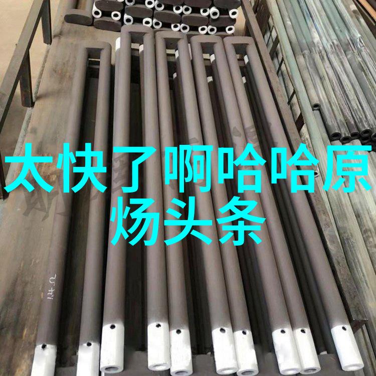 icescapes 北美洲大陆冰川与热带森林的共存之谜
