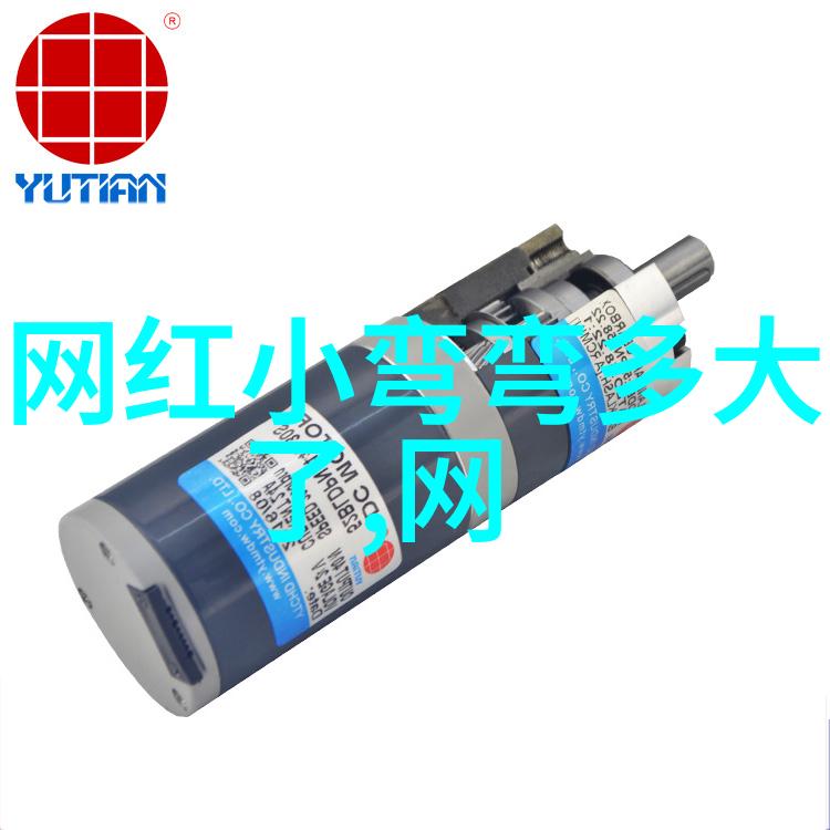 朱宸慧豪宅在雪梨市中心吗