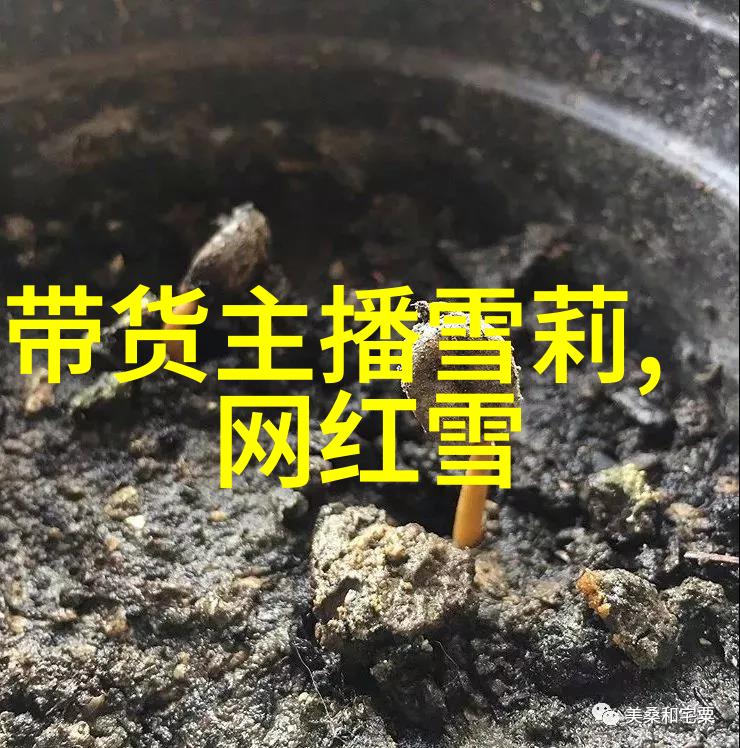 天八卦秘术揭秘古代智慧的运用方法
