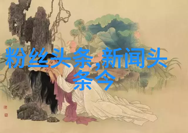 超越界限的我在47个综艺节目中寻找自我