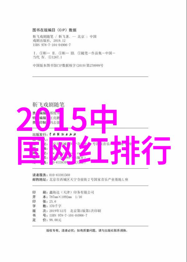 何冰传演技之巅的电视剧经历
