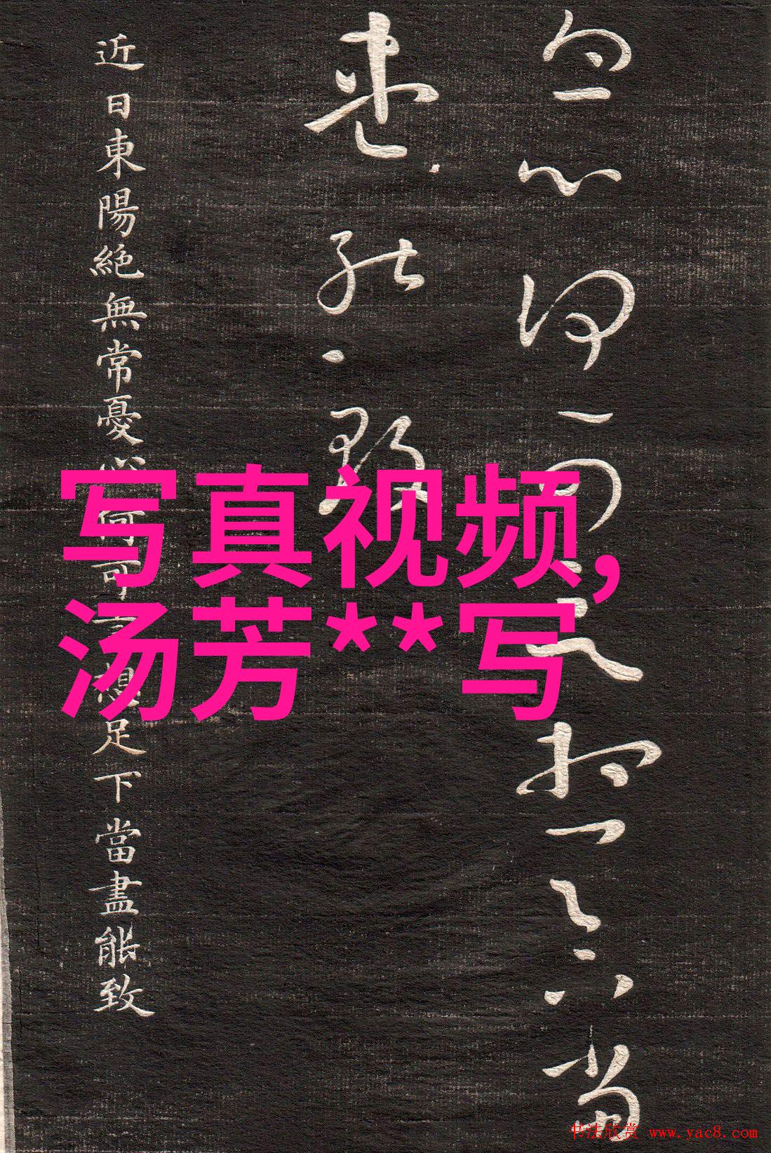 邻里画卷小区生活的真实面貌